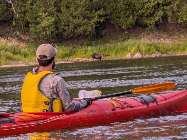 En kayak à regarder l'orignal