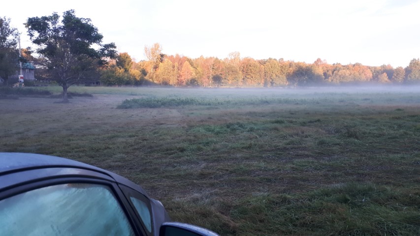 Lever de soleil sur la prairie où j'ai dormi à la ferme La Généreuse.